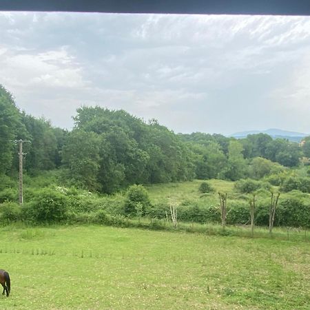 Appartement Dans Belle Maison Basque Mouguerre Eksteriør bilde