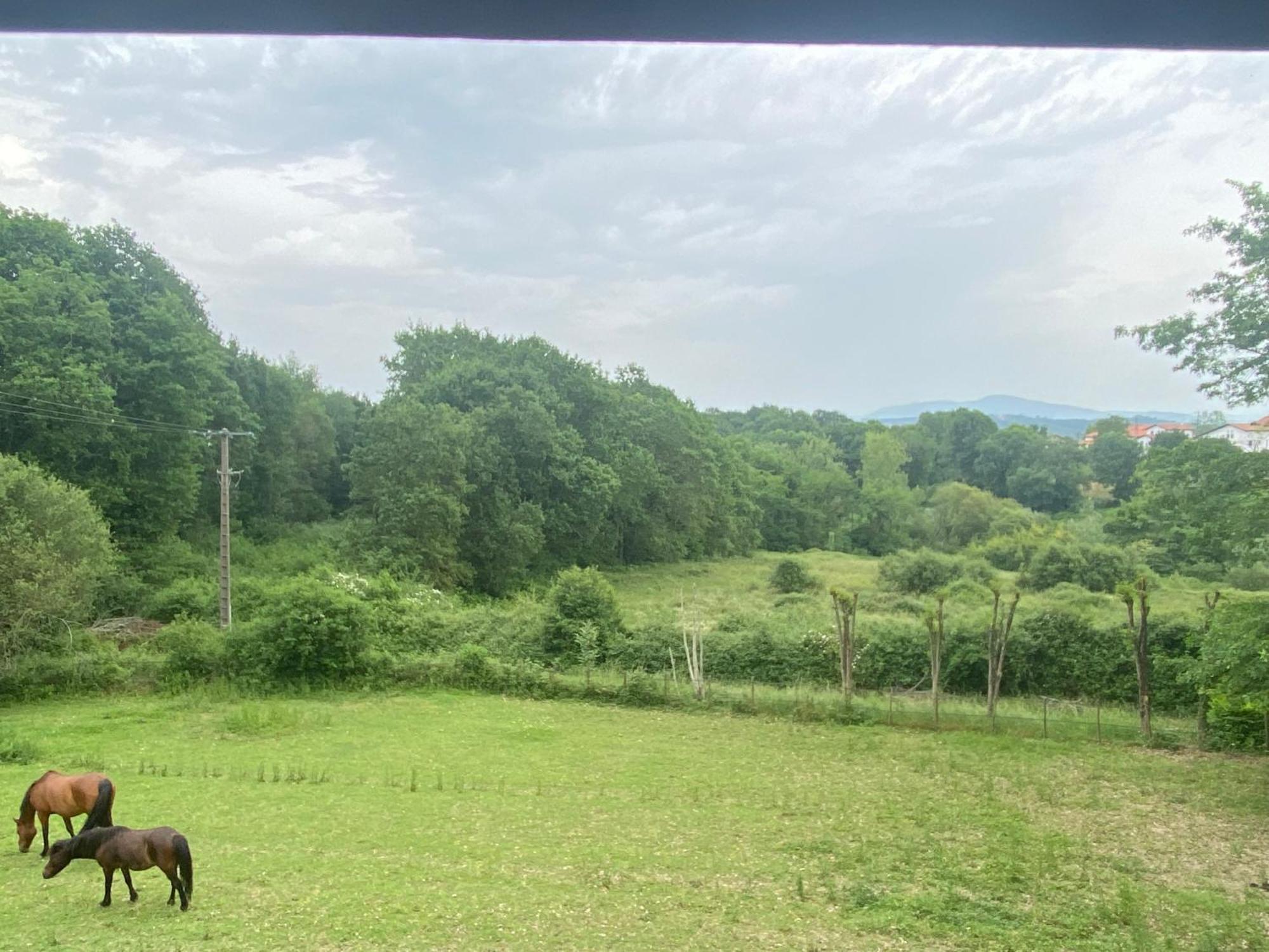 Appartement Dans Belle Maison Basque Mouguerre Eksteriør bilde